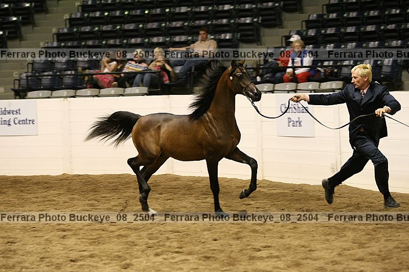 Proof buckeye_08_2504