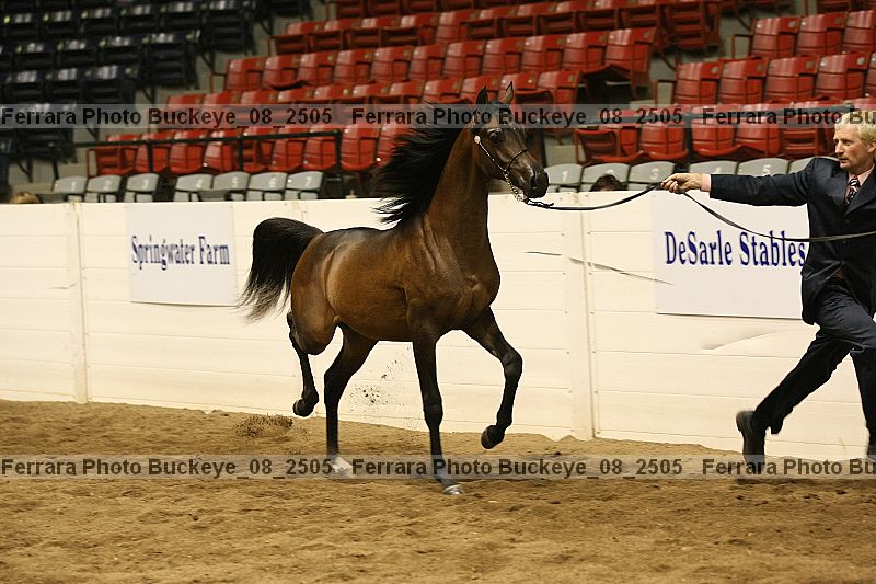 Proof buckeye_08_2505
