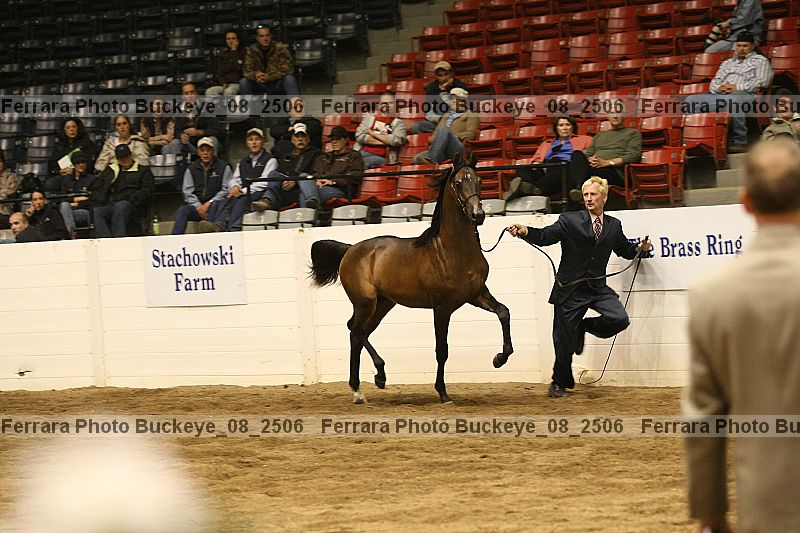 Proof buckeye_08_2506