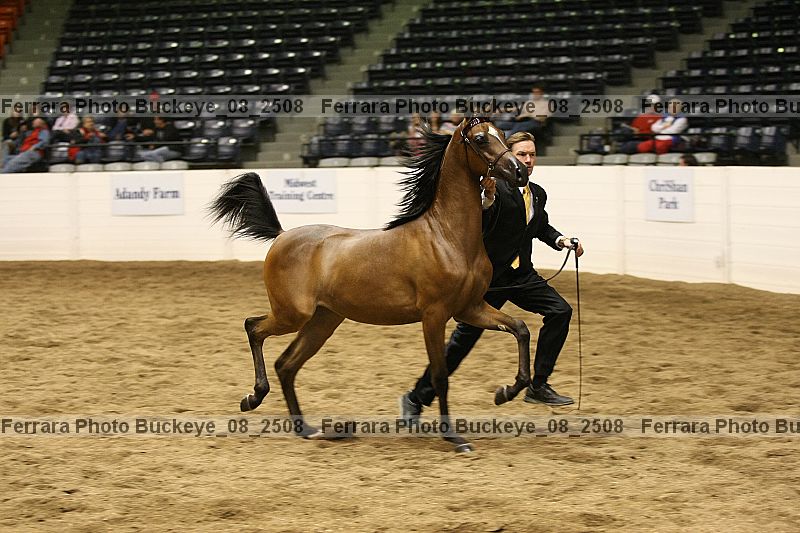 Proof buckeye_08_2508