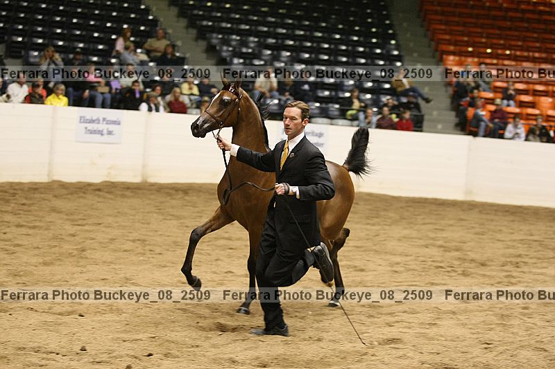 Proof buckeye_08_2509