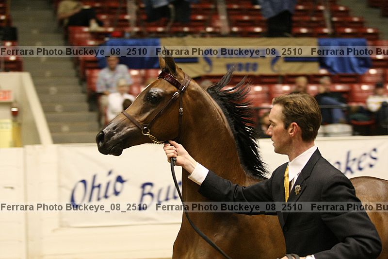 Proof buckeye_08_2510