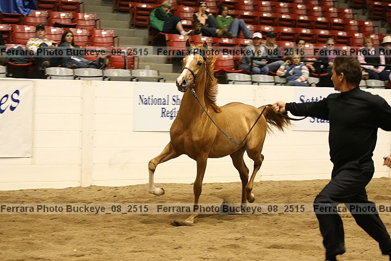 Proof buckeye_08_2515