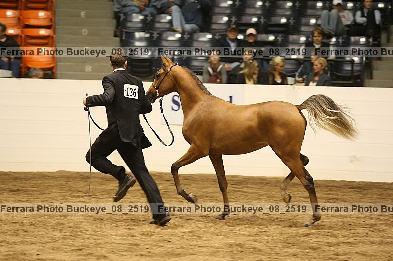 Proof buckeye_08_2519
