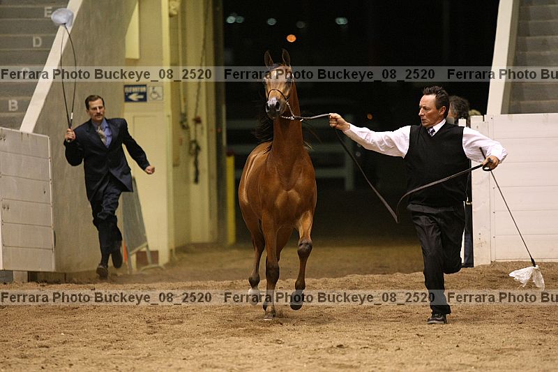 Proof buckeye_08_2520