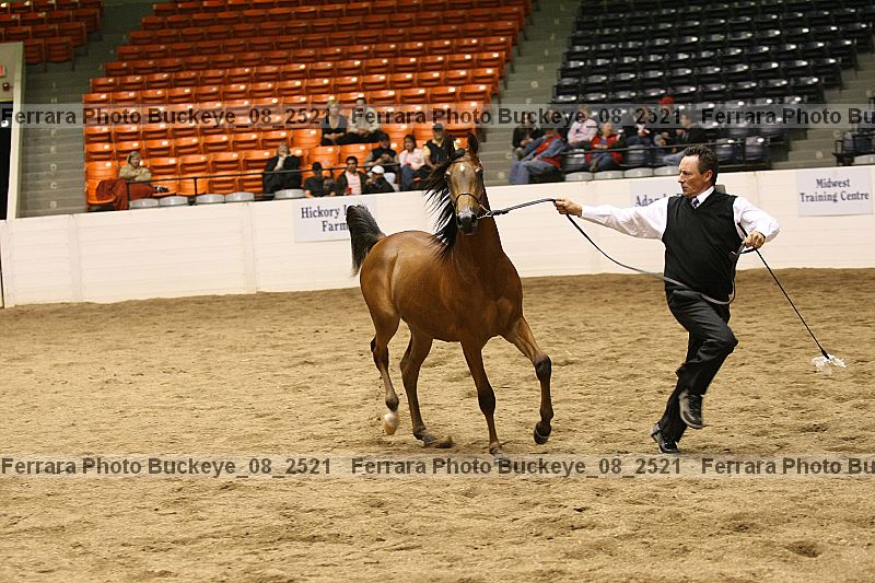 Proof buckeye_08_2521