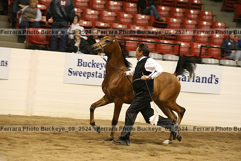 Proof buckeye_08_2524
