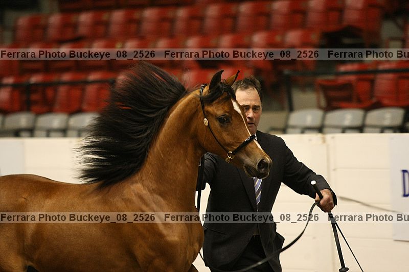 Proof buckeye_08_2526