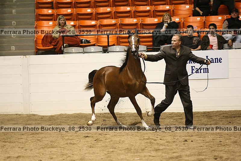 Proof buckeye_08_2530