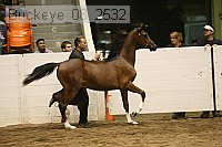 buckeye_08_2532 proof