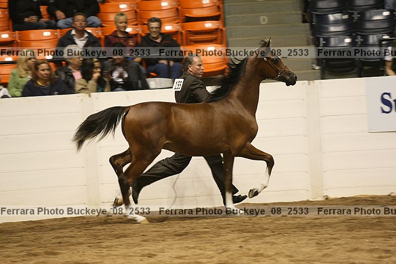 Proof buckeye_08_2533