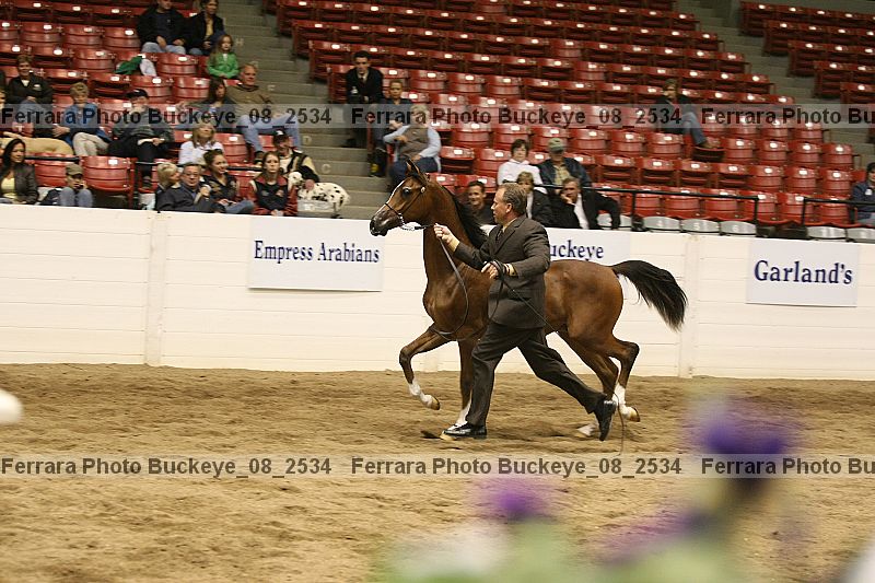 Proof buckeye_08_2534