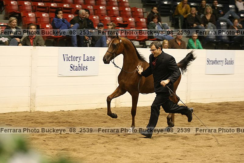 Proof buckeye_08_2539
