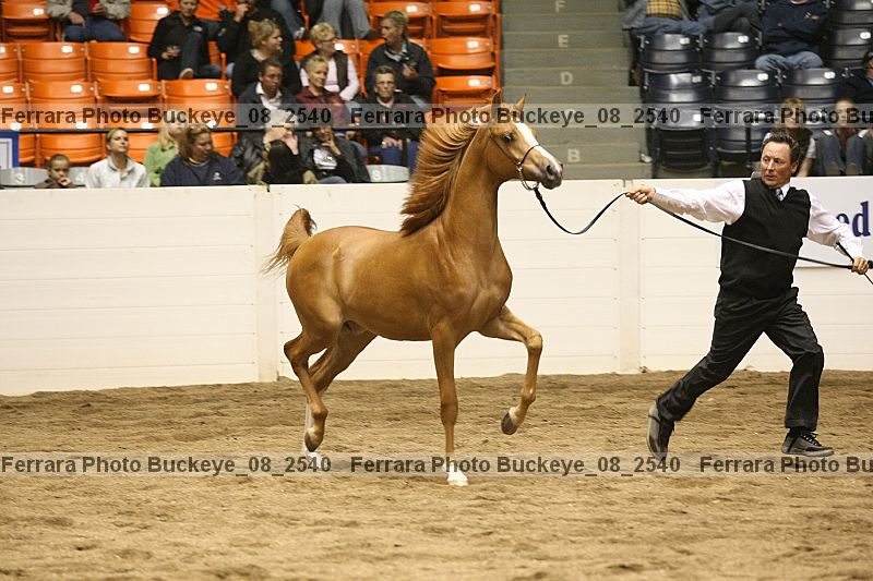 Proof buckeye_08_2540