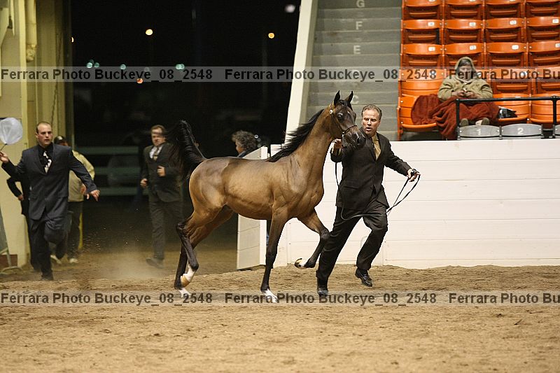 Proof buckeye_08_2548