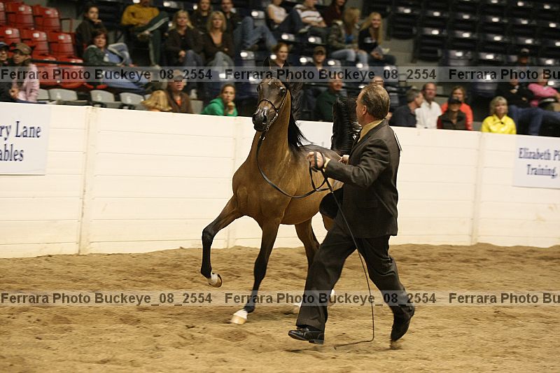 Proof buckeye_08_2554