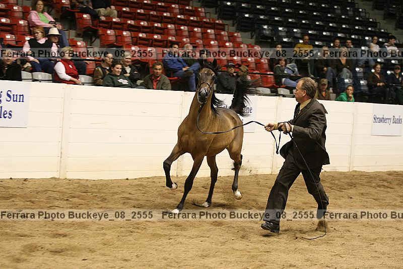 Proof buckeye_08_2555