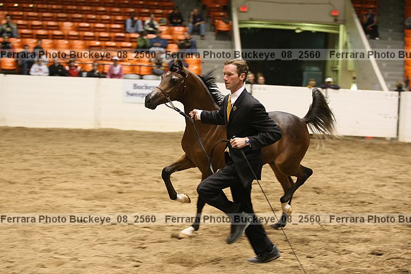 Proof buckeye_08_2560