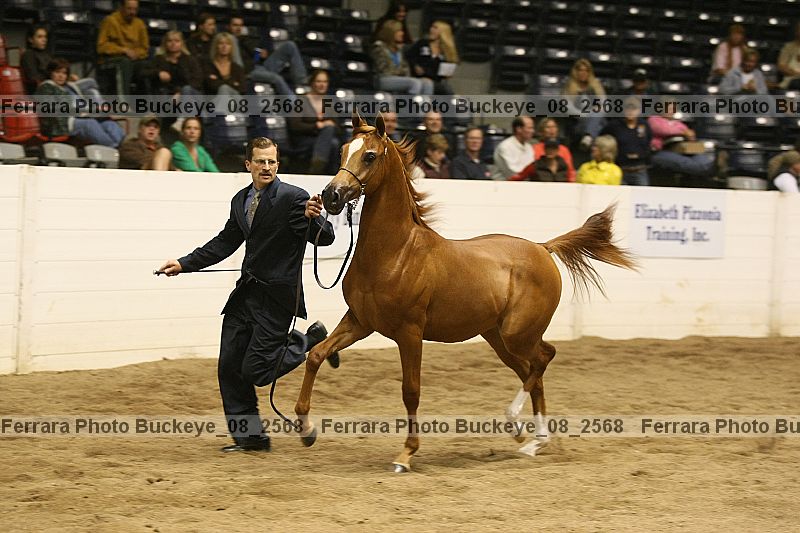 Proof buckeye_08_2568