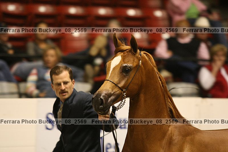Proof buckeye_08_2569