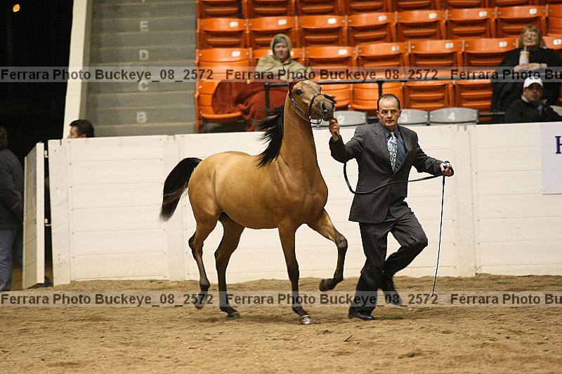Proof buckeye_08_2572