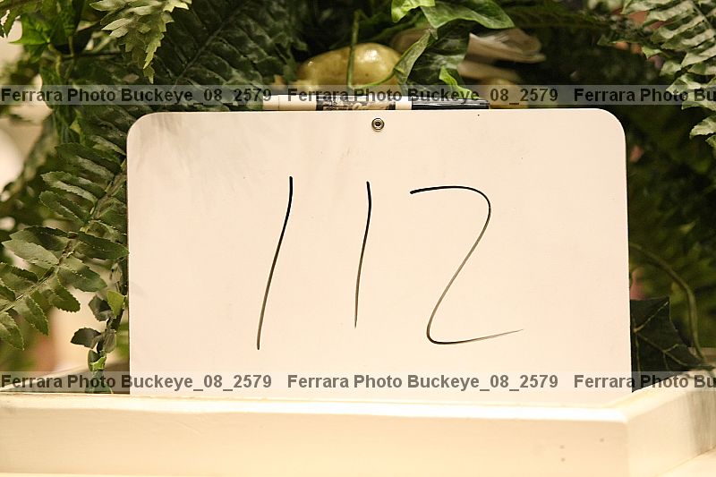 Proof buckeye_08_2579