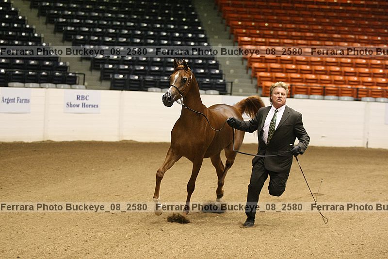 Proof buckeye_08_2580