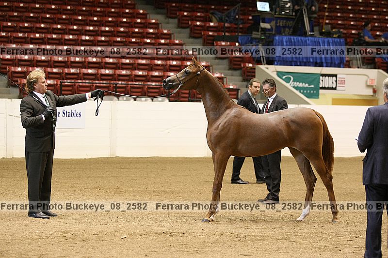 Proof buckeye_08_2582
