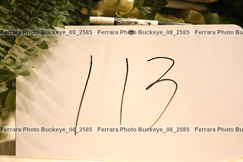 Proof buckeye_08_2585