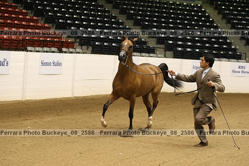 Proof buckeye_08_2586