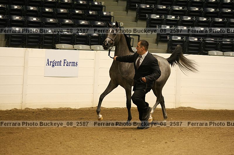 Proof buckeye_08_2587