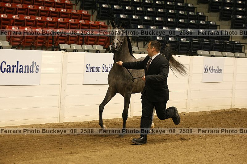 Proof buckeye_08_2588