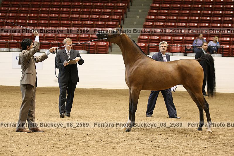 Proof buckeye_08_2589