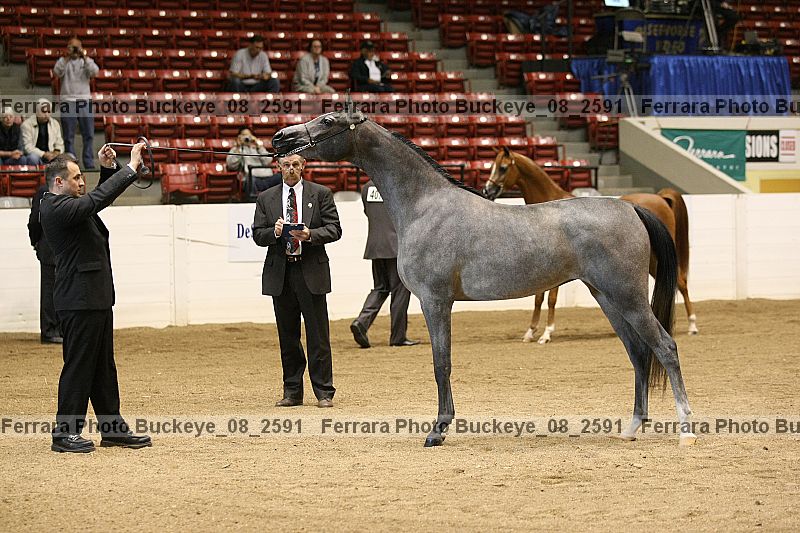 Proof buckeye_08_2591