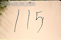 buckeye_08_2599 proof