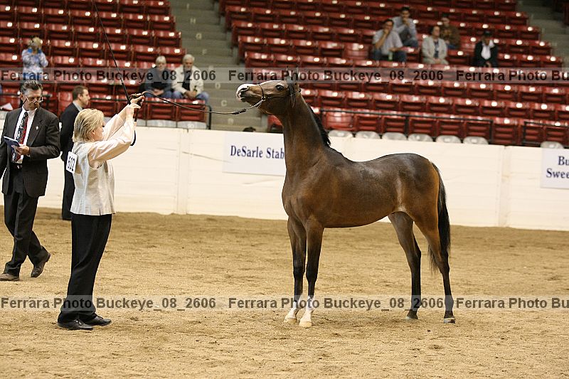 Proof buckeye_08_2606