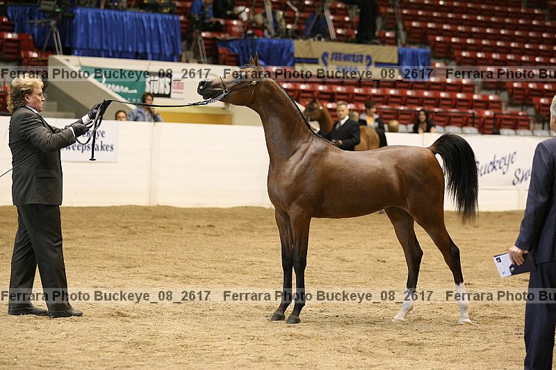 Proof buckeye_08_2617
