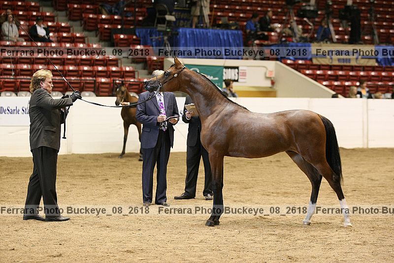 Proof buckeye_08_2618