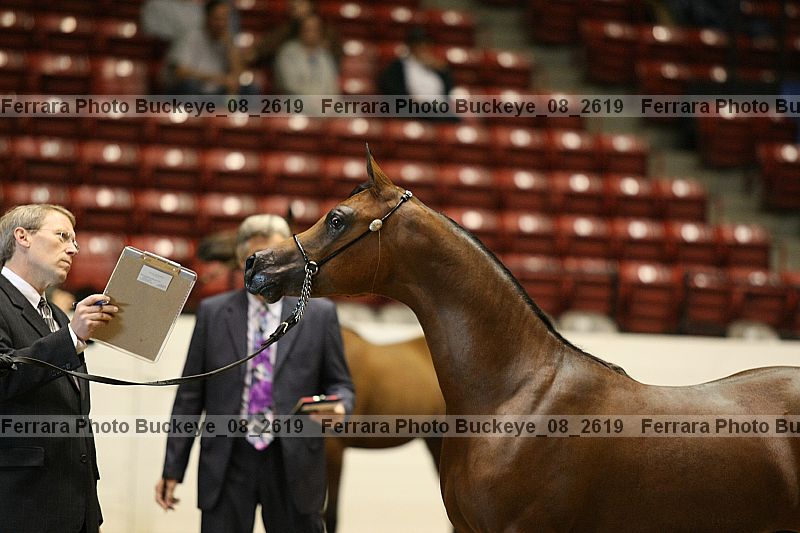 Proof buckeye_08_2619