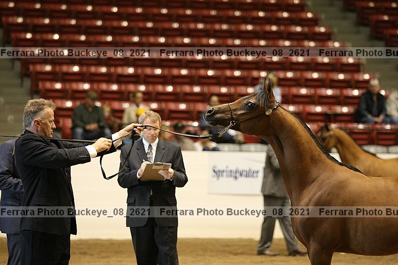 Proof buckeye_08_2621