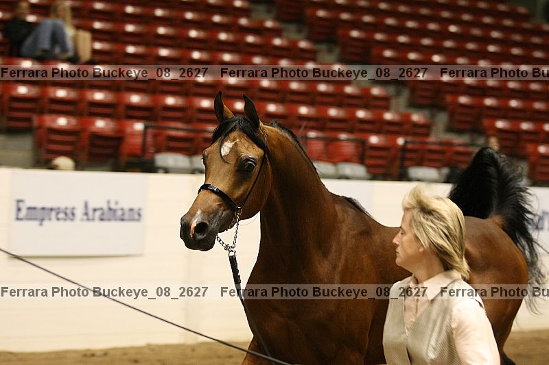 Proof buckeye_08_2627