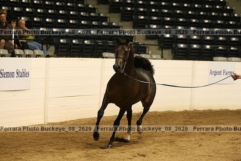 Proof buckeye_08_2629