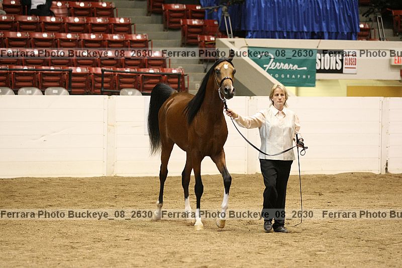 Proof buckeye_08_2630
