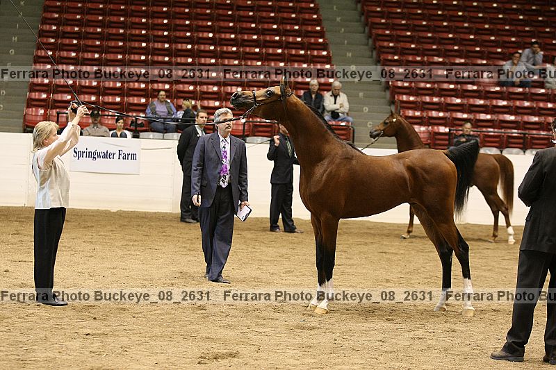 Proof buckeye_08_2631