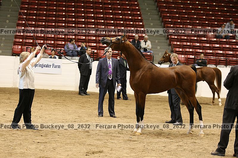 Proof buckeye_08_2632