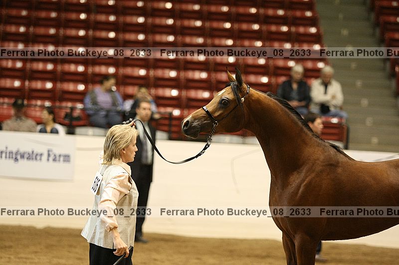 Proof buckeye_08_2633