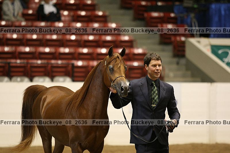 Proof buckeye_08_2636