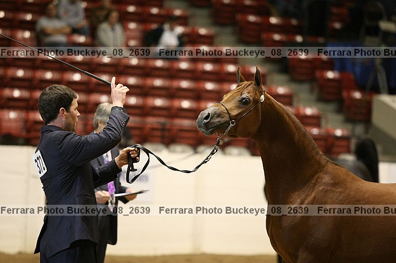 Proof buckeye_08_2639