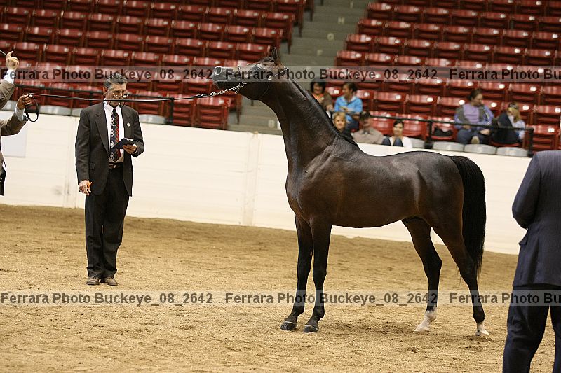 Proof buckeye_08_2642