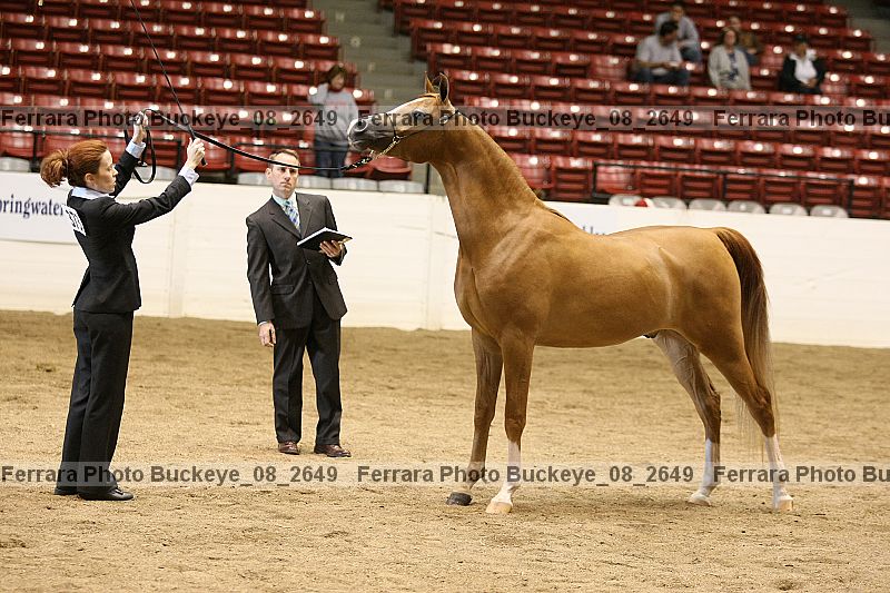 Proof buckeye_08_2649